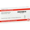 ACIDUM FORMICICUM D 200 Ampullen 8X1 ml