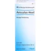 AESCULUS HEEL Tropfen 30 ml