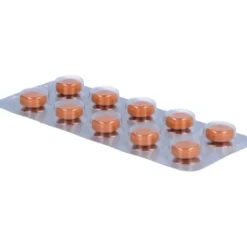 AESCUSAN retard Retardtabletten 100 St