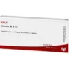 AMNION GL D 12 Ampullen 10X1 ml