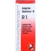 ANGINA-Gastreu S R1 Mischung 50 ml