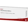 ARNICA/PLUMBUM mellitum Ampullen 10X1 ml