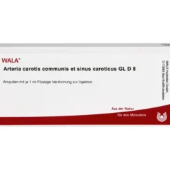 ARTERIA CAROTIS COMMUNIS et sin.carot.GL D 8 Amp. 10X1 ml