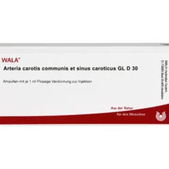 ARTERIA CAROTIS COMMUNIS et sin.carot.GL D 30 Amp. 10X1 ml
