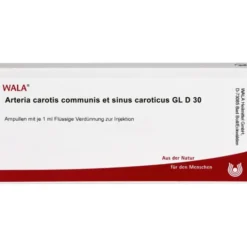 ARTERIA CAROTIS COMMUNIS et sin.carot.GL D 30 Amp. 10X1 ml