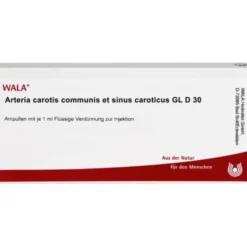 ARTERIA CAROTIS COMMUNIS et sin.carot.GL D 30 Amp. 10X1 ml