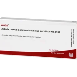 ARTERIA CAROTIS COMMUNIS et sin.carot.GL D 30 Amp. 10X1 ml
