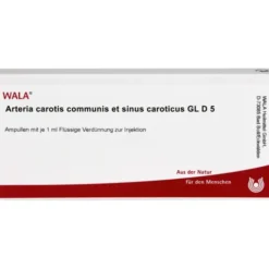 ARTERIA CAROTIS COMMUNIS et sin.carot.GL D 5 Amp. 10X1 ml