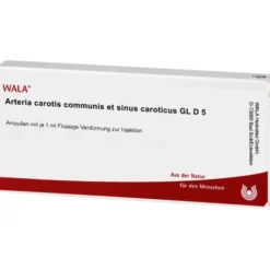 ARTERIA CAROTIS COMMUNIS et sin.carot.GL D 5 Amp. 10X1 ml