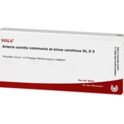 ARTERIA CAROTIS COMMUNIS et sin.carot.GL D 5 Amp. 10X1 ml