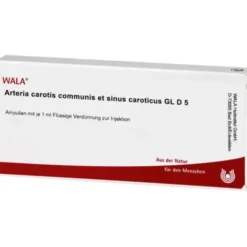 ARTERIA CAROTIS COMMUNIS et sin.carot.GL D 5 Amp. 10X1 ml