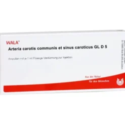 ARTERIA CAROTIS COMMUNIS et sin.carot.GL D 5 Amp. 10X1 ml