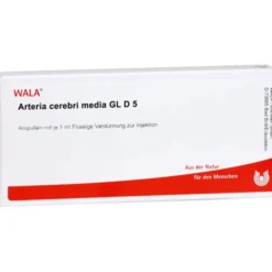 ARTERIA CEREBRI media GL D 5 Ampullen 10X1 ml