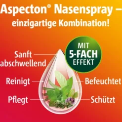 ASPECTON Nasenspray entspricht 1,5% Kochsalz-Lsg. 20 ml