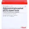 ATP Injeel forte Ampullen 10 St