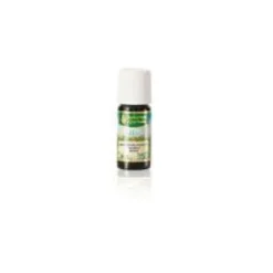 AYURVEDISCHES Kräuteröl mit Minze 10 ml
