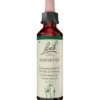 BACHBLÜTEN Agrimony Tropfen 20 ml