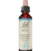 BACHBLÜTEN Beech Tropfen 20 ml