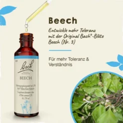 BACHBLÜTEN Beech Tropfen 20 ml