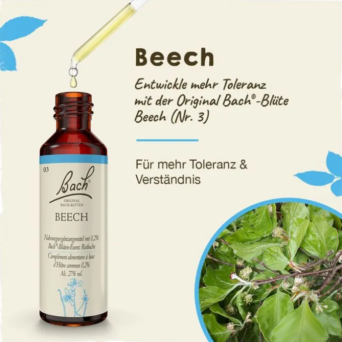 BACHBLÜTEN Beech Tropfen 20 ml