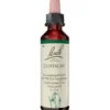 BACHBLÜTEN Centaury Tropfen 20 ml