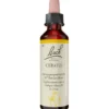 BACHBLÜTEN Cerato Tropfen 20 ml