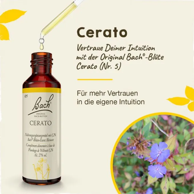 BACHBLÜTEN Cerato Tropfen 20 ml