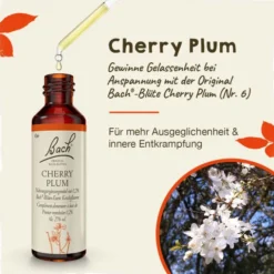 BACHBLÜTEN Cherry Plum Tropfen 20 ml