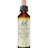 BACHBLÜTEN Chestnut Bud Tropfen 20 ml