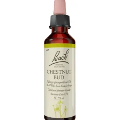 BACHBLÜTEN Chestnut Bud Tropfen 20 ml