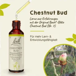 BACHBLÜTEN Chestnut Bud Tropfen 20 ml
