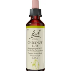BACHBLÜTEN Chestnut Bud Tropfen 20 ml