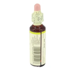 BACHBLÜTEN Chestnut Bud Tropfen 20 ml