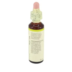 BACHBLÜTEN Chestnut Bud Tropfen 20 ml