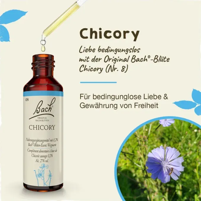 BACHBLÜTEN Chicory Tropfen 20 ml