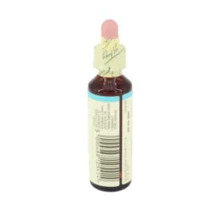 BACHBLÜTEN Chicory Tropfen 20 ml