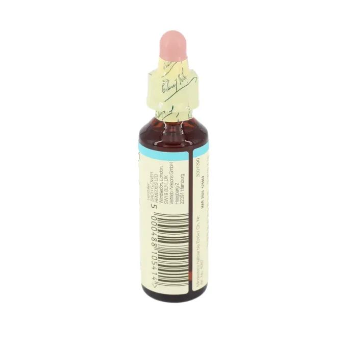 BACHBLÜTEN Chicory Tropfen 20 ml