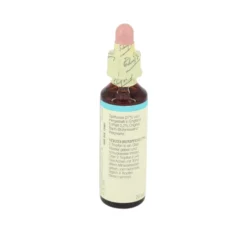 BACHBLÜTEN Chicory Tropfen 20 ml