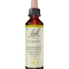 BACHBLÜTEN Clematis Tropfen 20 ml