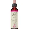 BACHBLÜTEN Elm Tropfen 20 ml