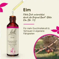 BACHBLÜTEN Elm Tropfen 20 ml