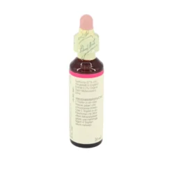 BACHBLÜTEN Elm Tropfen 20 ml