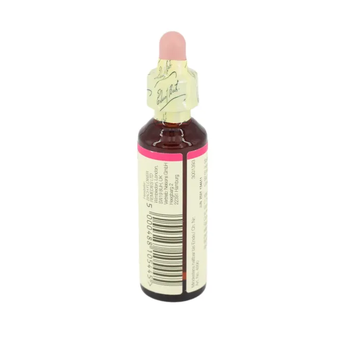 BACHBLÜTEN Elm Tropfen 20 ml