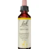 BACHBLÜTEN Gentian Tropfen 20 ml