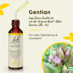 BACHBLÜTEN Gentian Tropfen 20 ml
