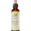 BACHBLÜTEN Gorse Tropfen 20 ml