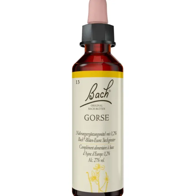BACHBLÜTEN Gorse Tropfen 20 ml
