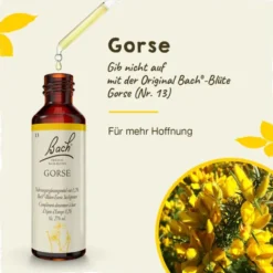 BACHBLÜTEN Gorse Tropfen 20 ml