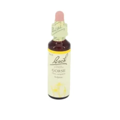 BACHBLÜTEN Gorse Tropfen 20 ml