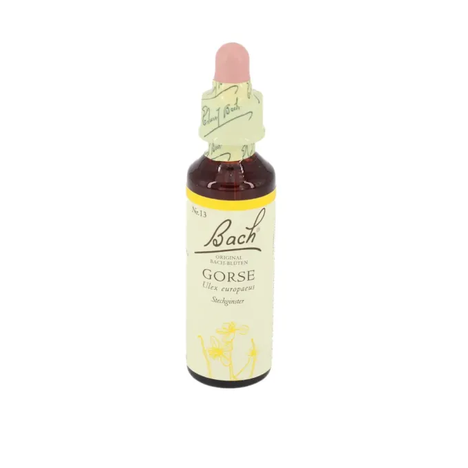 BACHBLÜTEN Gorse Tropfen 20 ml
